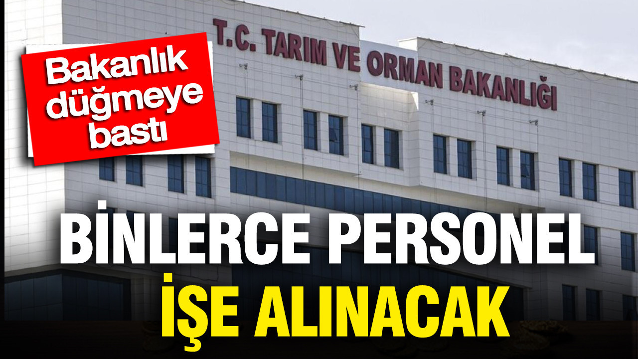 Bakanlık düğmeye bastı: Binlerce personel işe alınacak Bakanlik dugmeye basti binlerce personel ise alinacak CsCKyqzu